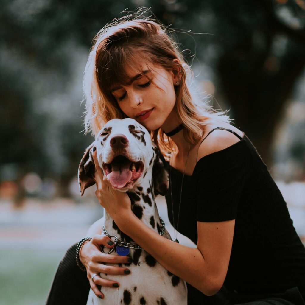 Comparación de seguros para mascotas en apps de inversión 1 pexels photo 13869571 1